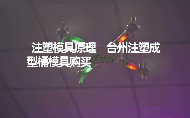注塑模具原理 台州注塑成型桶模具购买
